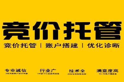 竞品分析下的SEM竞价策略案例